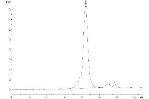 The purity of Rhesus macaque DLL3 is greater than 95 % as determined by SEC-HPLC.