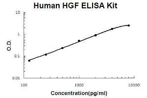 Human HGF PicoKine ELISA Kit standard curve