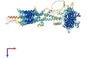 AlphaFold protein structure predicition of Human Recombinant ADCY7 Protein, UniprotID P51828