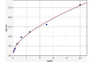 Syndecan 1 (SDC1) ELISA Kit