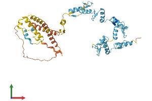 AlphaFold protein structure predicition of Human Recombinant ZNF789 Protein, UniprotID Q5FWF6