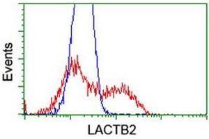 HEK293T cells transfected with either RC201465 overexpress plasmid (Red) or empty vector control plasmid (Blue) were immunostained by anti-LACTB2 antibody (ABIN2454347), and then analyzed by flow cytometry. (LACTB2 anticorps  (AA 78-288))