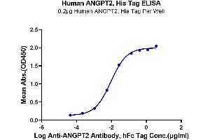 Immobilized Human ANGPT2, His Tag at 2 μg/mL (100 μL/well).