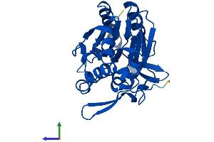 AlphaFold protein structure predicition of Human Recombinant NIT2 Protein, UniprotID Q9NQR4