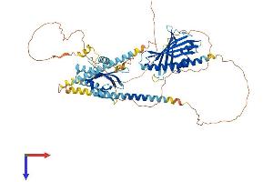 GRAM Domain Containing 1C (GRAMD1C) (AA 1-662) protein (His tag)