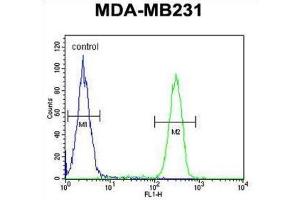 Flow Cytometry (FACS) image for anti-HLA Class I alpha F (HLAF) antibody (ABIN3002479)