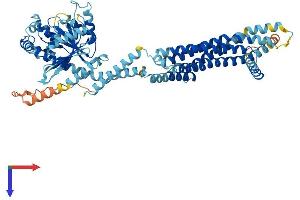 AlphaFold protein structure predicition of Mouse Recombinant Mx2 Protein, UniprotID Q9WVP9