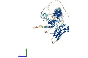 AlphaFold protein structure predicition of Human Recombinant MCF2L Protein, UniprotID O15068