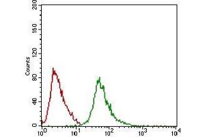 Flow cytometric analysis of Hela cells using Ring1 mouse mAb (green) and negative control (red).