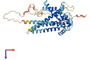 AlphaFold protein structure predicition of Human Recombinant SLC25A46 Protein, UniprotID Q96AG3