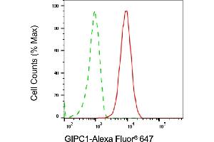 Flow cytometric analysis of GIPC1 expression in HepG2 cells using GIPC1 antibody (ABIN7798719), 1:2,000).