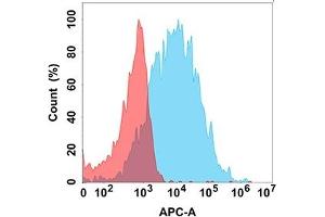 Flow cytometry analysis with Anti-FA on Expi293 cells transfected with human FA (Blue histogram) or Expi293 transfected with irrelevant protein (Red histogram).