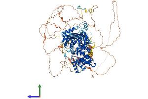 AlphaFold protein structure predicition of Mouse Recombinant Stard8 Protein, UniprotID Q8K031