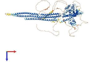 AlphaFold protein structure predicition of Mouse Recombinant Srgap1 Protein, UniprotID Q91Z69
