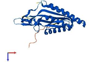 AlphaFold protein structure predicition of Mouse Recombinant Atg101 Protein, UniprotID Q9D8Z6