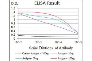 Red: Control Antigen (100ng) ; Purple: Antigen (10ng) ; Green: Antigen (50ng) ; Blue: Antigen (100ng).