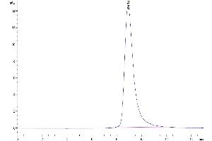 The purity of Biotinylated Huma LAIR2 is greater than 95 % as determined by SEC-HPLC.