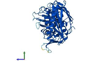 AlphaFold protein structure predicition of Mouse Recombinant RtcA Protein, UniprotID Q9D7H3