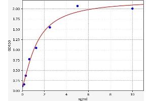Typical standard curve (HOPX Kit ELISA)