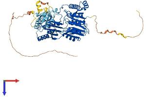 AlphaFold protein structure predicition of Human Recombinant TRMT2A Protein, UniprotID Q8IZ69