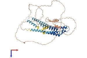 AlphaFold protein structure predicition of Human Recombinant GJA10 Protein, UniprotID Q969M2
