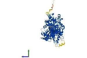 AlphaFold protein structure predicition of Mouse Recombinant Ttll12 Protein, UniprotID Q3UDE2