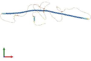 AlphaFold protein structure predicition of Mouse Recombinant Poc5 Protein, UniprotID Q9DBS8