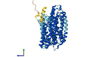 AlphaFold protein structure predicition of Human Recombinant RFT1 Protein, UniprotID Q96AA3
