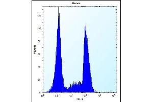 OR10G9 Antibody (C-term) (ABIN656933 and ABIN2846123) flow cytometric analysis of Ramos cells (right histogram) compared to a negative control cell (left histogram).