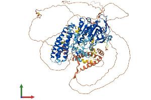 AlphaFold protein structure predicition of Human Recombinant LIPE Protein, UniprotID Q05469