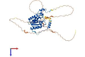 AlphaFold protein structure predicition of Human Recombinant TDG Protein, UniprotID Q13569