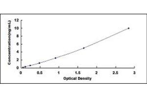 Typical standard curve (Metabotropic Glutamate Receptor 1 Kit ELISA)