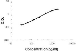 Sandwich ELISA - Recombinant mouse CD137/Tnfrsf9 protein standard curve.