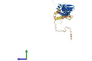 AlphaFold protein structure predicition of Human Recombinant BVES Protein, UniprotID Q8NE79