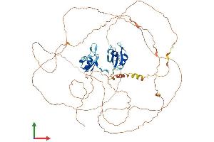 AlphaFold protein structure predicition of Mouse Recombinant Rbm14 Protein, UniprotID Q8C2Q3