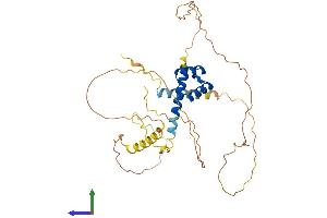 AlphaFold protein structure predicition of Human Recombinant NKX2-3 Protein, UniprotID Q8TAU0
