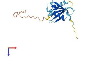 AlphaFold protein structure predicition of Human Recombinant TSEN15 Protein, UniprotID Q8WW01