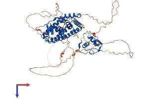 AlphaFold protein structure predicition of Mouse Recombinant Esr1 Protein, UniprotID P19785