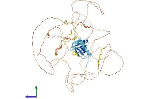 AlphaFold protein structure predicition of Human Recombinant GAB2 Protein, UniprotID Q9UQC2
