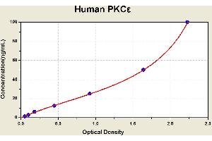 Protein Kinase C, epsilon (PRKCE) ELISA Kit