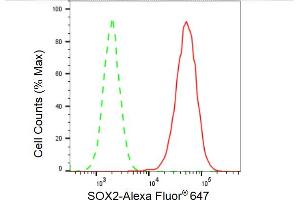 Flow cytometric analysis of SOX2 expression in HAP-1 cells using SOX2 antibody (ABIN7800432), 1:2,000). (Recombinant SOX2 anticorps)