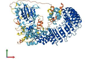 AlphaFold protein structure predicition of Human Recombinant NLRP12 Protein, UniprotID P59046