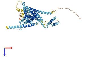 AlphaFold protein structure predicition of Human Recombinant LMBR1 Protein, UniprotID Q8WVP7