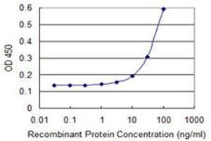 Detection limit for recombinant GST tagged CDK4 is 3 ng/ml as a capture antibody. (CDK4 anticorps  (AA 1-303))