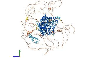 AlphaFold protein structure predicition of Mouse Recombinant Blm Protein, UniprotID O88700