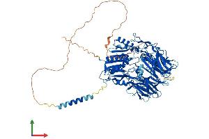 AlphaFold protein structure predicition of Human Recombinant DPP6 Protein, UniprotID P42658