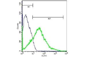 Mouse brain cells probed with Rabbit Anti-Bdkrb2 Polyclonal Antibody .