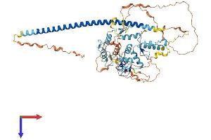 AlphaFold protein structure predicition of Human Recombinant ZNF398 Protein, UniprotID Q8TD17