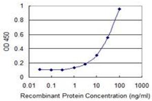 Detection limit for recombinant GST tagged LHX9 is 0. (LHX9 anticorps  (AA 1-85))