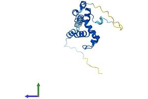 AlphaFold protein structure predicition of Mouse Recombinant Nop16 Protein, UniprotID Q9CPT5